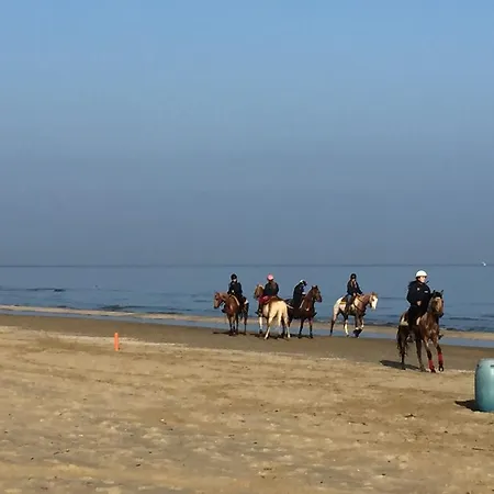 La Nave 3* سينِغاليا