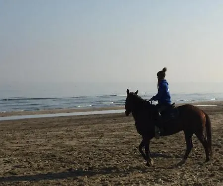 Hotel apartamentowy La Nave